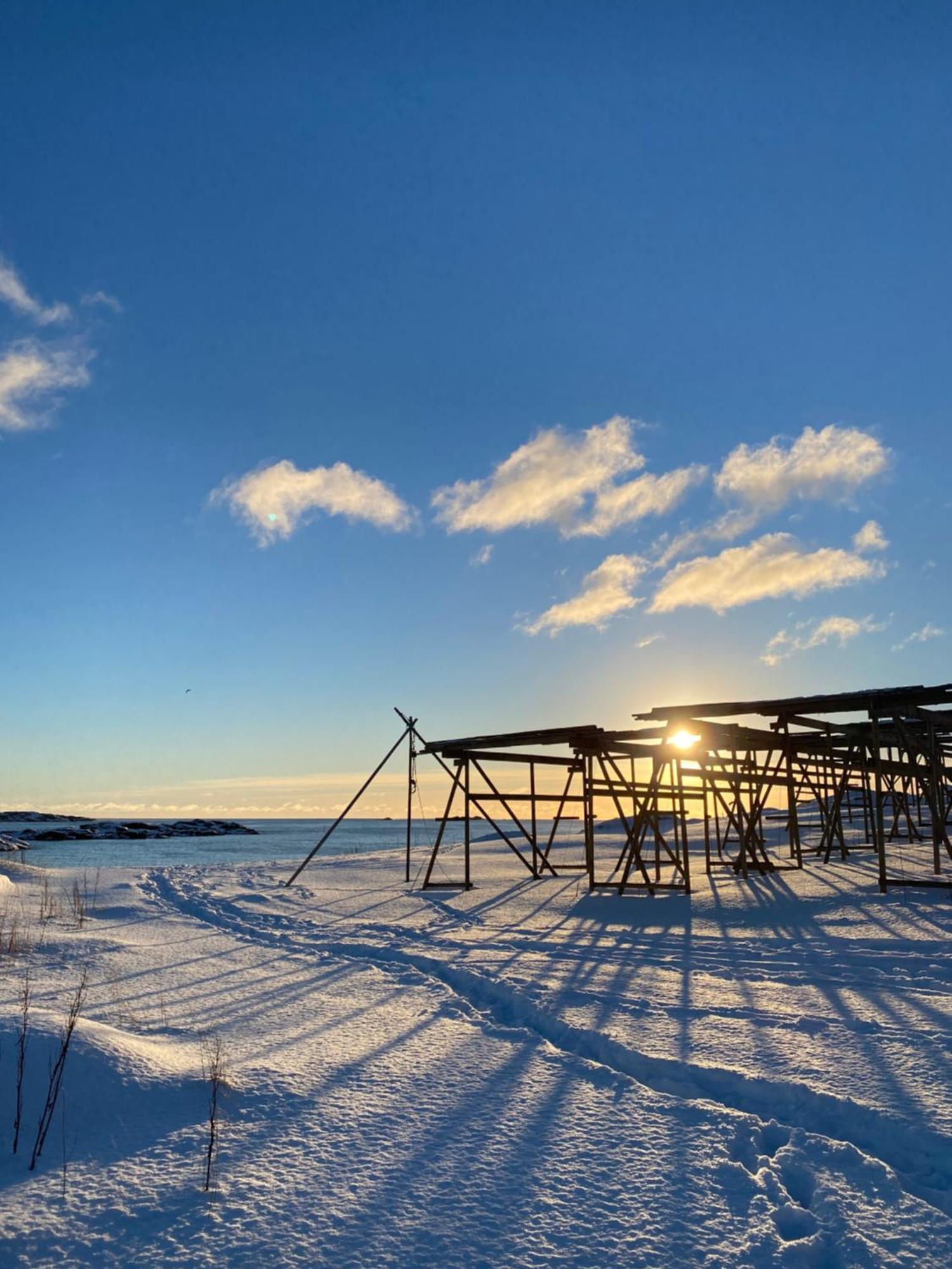 Superior Cabin Ballstad Lofoten Екстериор снимка